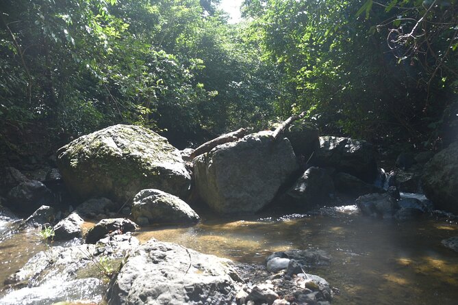 Puerto Rico Waterfall Hiking Tour: Discover Hidden Gems 2.0 - What Guides Actually Add: Humor, Culture, and Safety