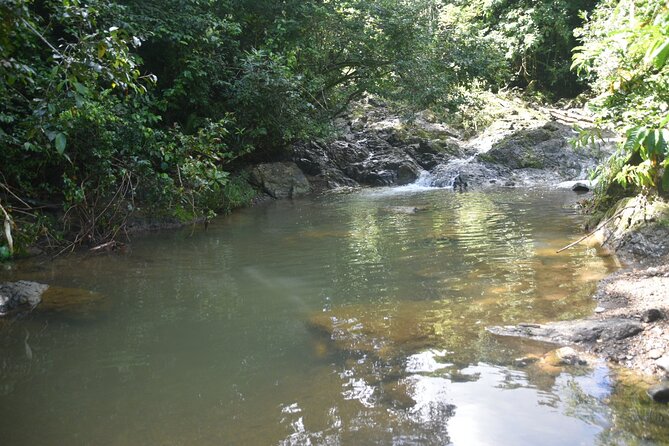 Puerto Rico Waterfall Hiking Tour: Discover Hidden Gems 2.0 - Packing List That Prevents Regret