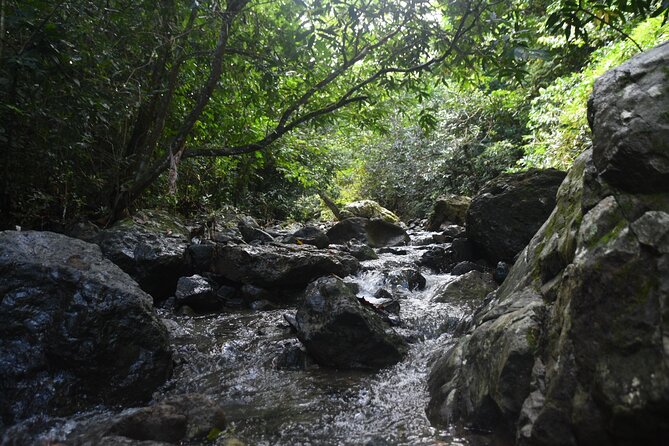Puerto Rico Waterfall Hiking Tour: Discover Hidden Gems 2.0 - Pickup, Van Ride, and Timing: Why the Morning Works