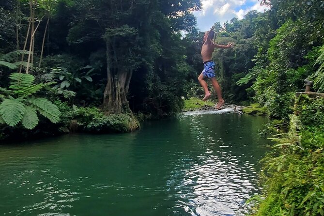 Rainforest and Junglequi Zipline Combo Tour - The nature walk and natural pools: the quiet counterweight