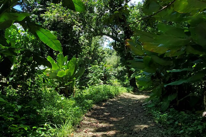 Rainforest and Junglequi Zipline Combo Tour - Price and value: what $200 buys (and what it doesn’t)