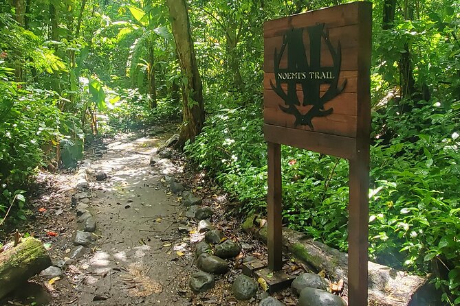 Rainforest and Junglequi Zipline Combo Tour - Logistics that matter: tickets, timing, and what to pack