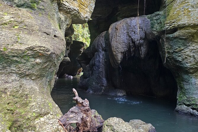 Rainforest Cave Tubing Adventure - Should You Book Rainforest Cave Tubing in San Juan?