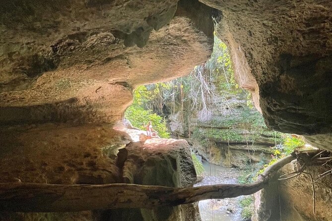 Rainforest Caves and Waterfalls Exploration with Transportation - Price and value: is $110 worth it?