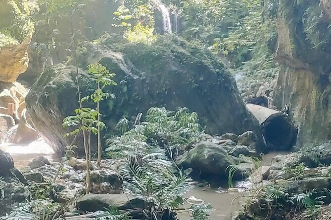 Rainforest Caves and Waterfalls Exploration with Transportation - Who this tour suits best (and who should reconsider)