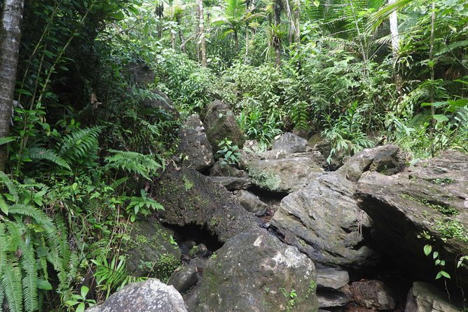Rainforest Nature Walk & Luquillo Beach Combo - Getting Picked Up in San Juan: Transport, Road Time, and a Fruit-Stand Pause