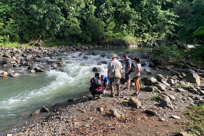 Rainforest Nature Walk & Luquillo Beach Combo - Torre Yokahu: The Fast 69-Foot Viewpoint That Breaks Up the Day