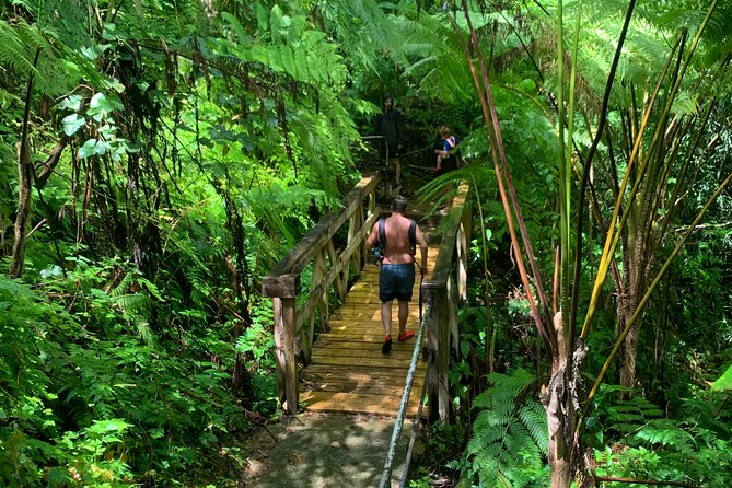 Rainforest Nature Walk & Luquillo Beach Combo - Luquillo Beach and the Kiosks: Reset Mode for Your Last Two Hours