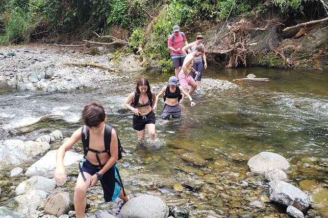 Rainforest River Hike and Waterfalls Adventure - SuperMax to the forest: transportation that matters for comfort