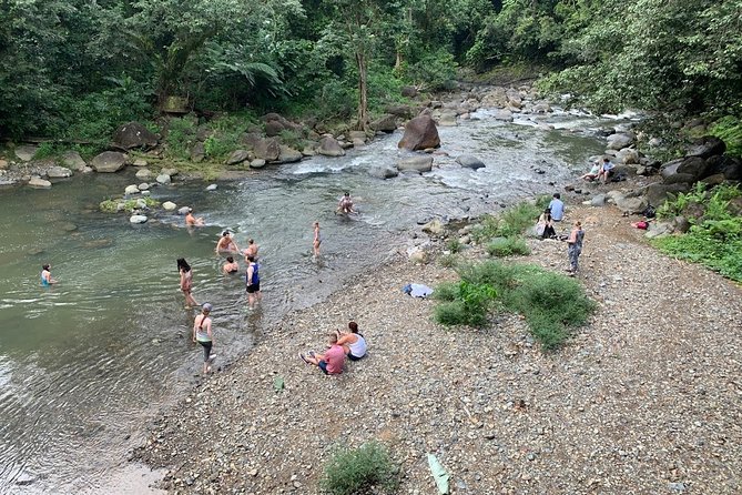 Rainforest River Nature Walk Adventure and Luquillo Beach - El Yunque foothills and Puente Roto along Rio Mameyes