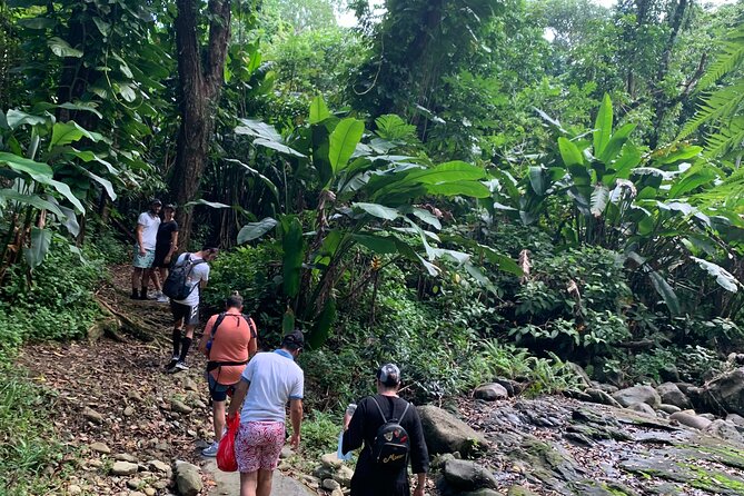 Rainforest River Nature Walk Adventure and Luquillo Beach - La Coca Falls: a waterfall stop that is worth the short time