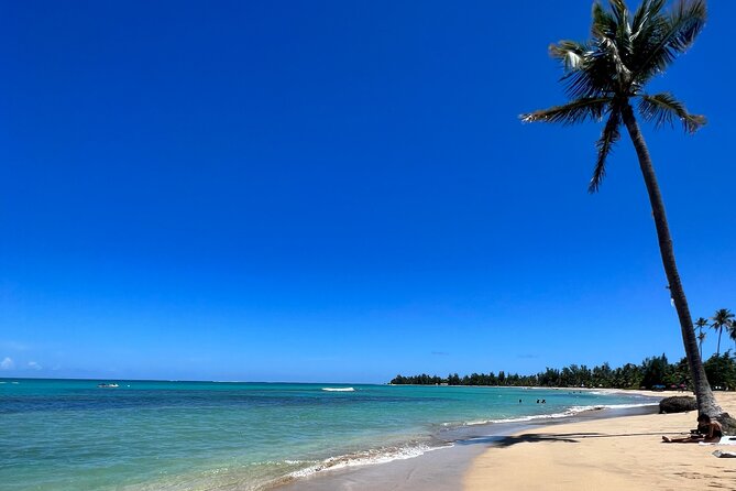 Rainforest Waterfall Slides/Adult Drinks included/ Beach - Key things to know before you go