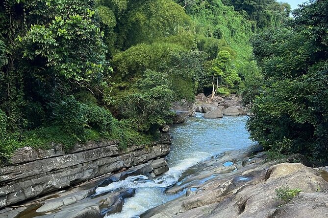 Rainforest Waterfall Slides/Adult Drinks included/ Beach - Luquillo beach stop: local mom-and-pop food and optional rentals