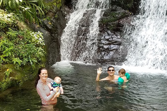 Sacred Rainforest and Archaeological Experience - Morning Drive From San Juan Toward Toro Negro