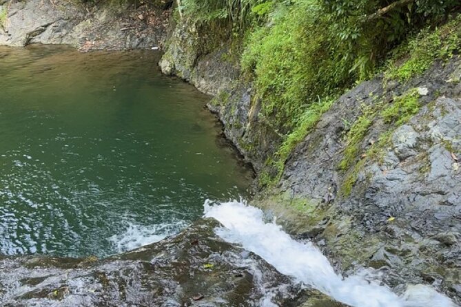 Salto de Pilar Cliff Jumping Tour - Key highlights worth knowing