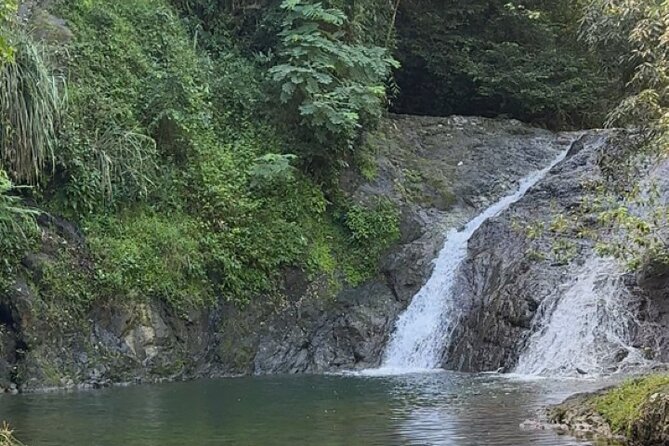 Salto de Pilar Cliff Jumping Tour - Pickup, timing, and the half-day rhythm