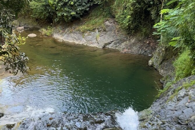 Salto de Pilar Cliff Jumping Tour - The forest trail to the natural pool