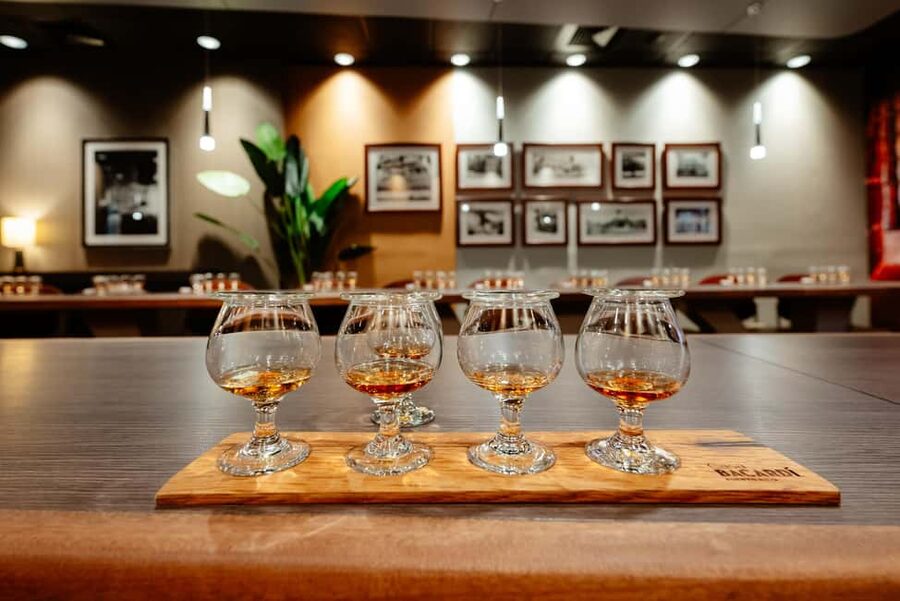 San Juan: Casa Bacardi Distillery Tour - Your 45–75 minute itinerary: trolley ride, visitor center, and rum history