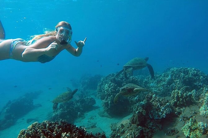 San Juan Guided Snorkel With Turtles Tour and Videos - Key Things I’d Watch For