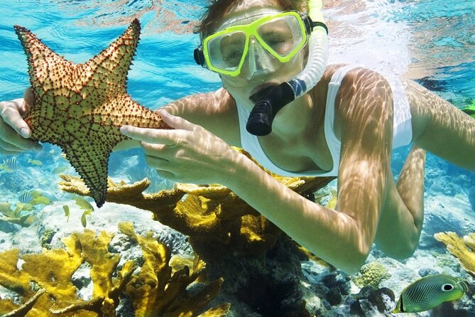 San Juan Guided Snorkeling Experience - With Transport 8am or 3pm - Quick Hits Before You Book