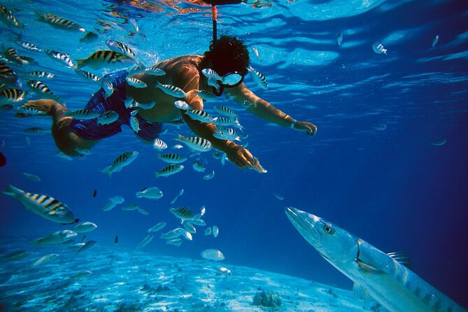 San Juan Guided Snorkeling Experience - With Transport 8am or 3pm - Safety Basics First: Learning Without Feeling Rushed