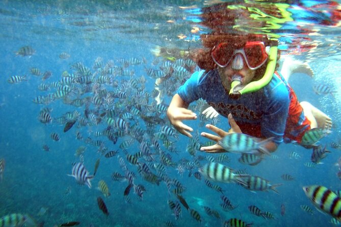 San Juan Guided Snorkeling Experience - With Transport 8am or 3pm - El Escambrón Highlights: A Good Beginner Starting Point