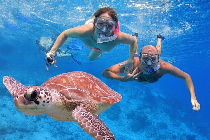 San Juan Guided Snorkeling Experience - With Transport 8am or 3pm - Carlos and the Guide Approach: Patience That Matters