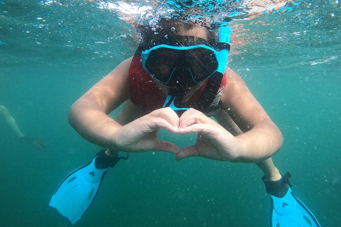 San Juan: Kids and Family Snorkeling Adventure with Videos - Expect a One-Hour-Plus Session, Not a Long Day