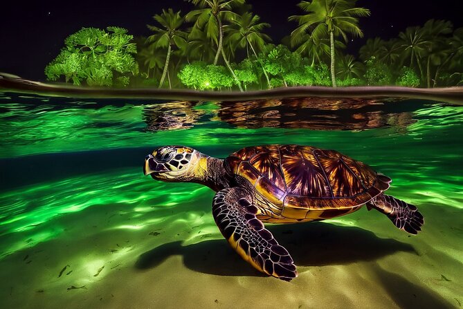 San Juan LED Night Snorkel - Key things that make this LED night snorkel worth your time