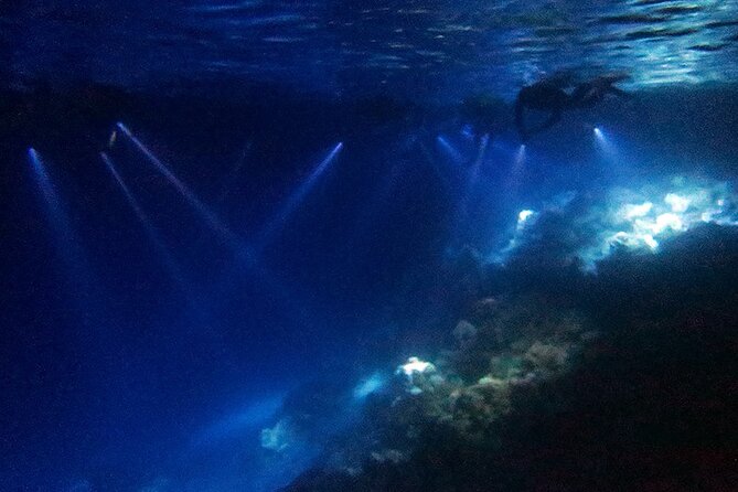 San Juan LED Night Snorkel - LED and UV lighting: why night snorkeling in San Juan looks unreal