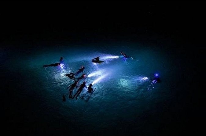 San Juan LED Night Snorkel - Guides at night: why the human touch matters more than gear