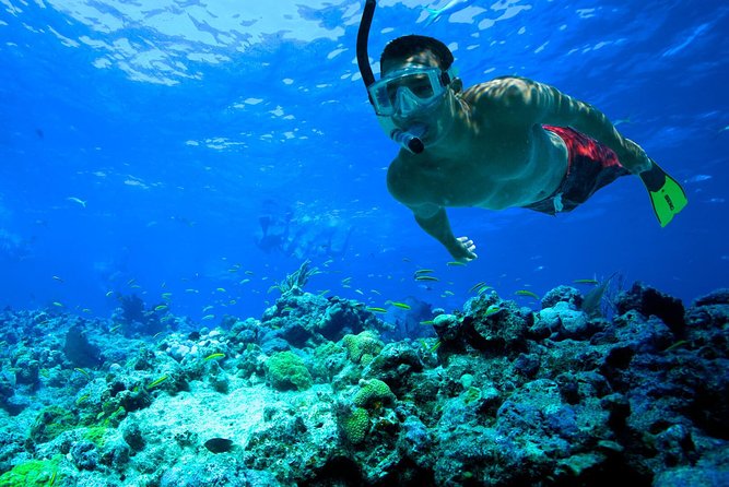 San Juan | Paddleboard | Kayak | Snorkeling | Guided Tours - Key Highlights You’ll Care About
