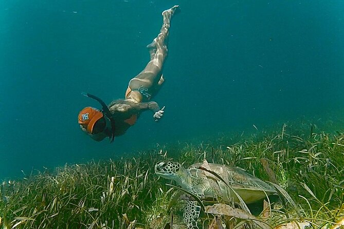 San Juan Snorkel with Turtles and Manatee's; Free Video and Rum! - Price and Value: How $82 Makes Sense Here