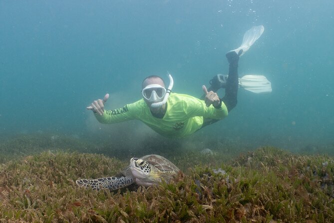 San Juan Snorkeling Tour with Fish and Turtles - Escambrón Marine Park: the reason this snorkeling feels doable