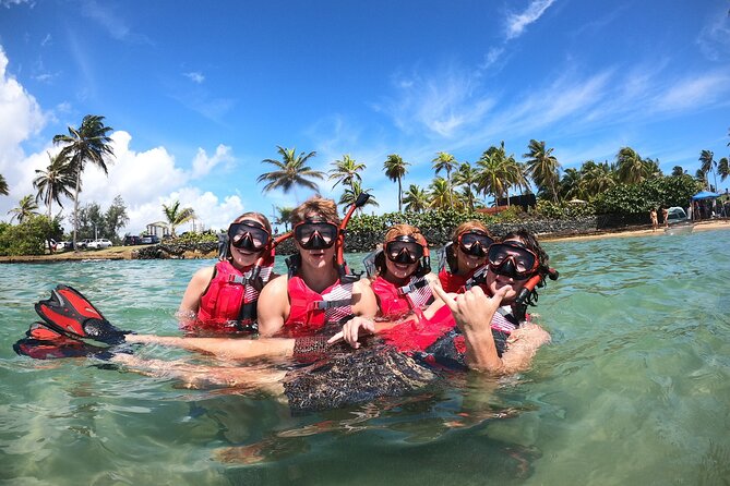 San Juan: Snorkeling with Turtles Adventure and Free Videos - The bay snorkeling part: what you actually see under the water