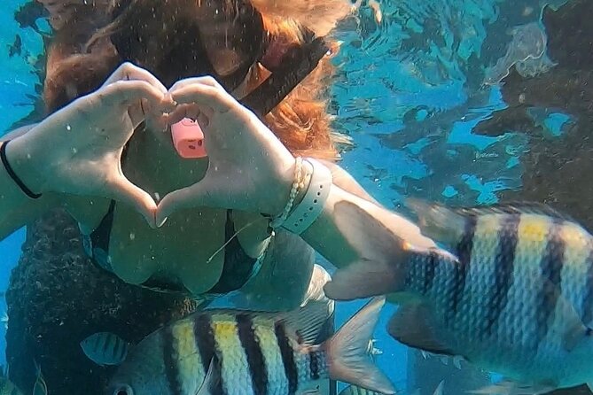 San Juan: Snorkeling with Turtles Adventure and Free Videos - Free videos: the underrated part of the value