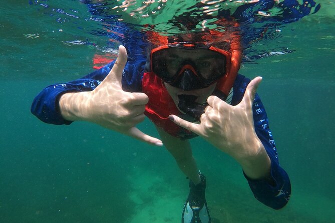 San Juan: Snorkeling with Turtles Adventure and Free Videos - Price and value: what $45 buys you (and what costs extra)