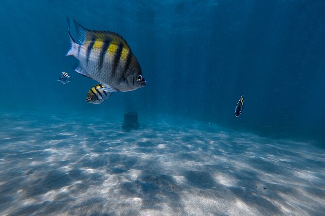 San Juan: Snorkeling with Turtles Adventure and Free Videos - Meeting point and getting there: don’t lose time to confusion