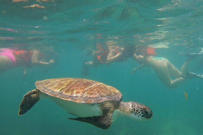 San Juan: Snorkeling with Turtles Adventure and Free Videos - Who this is best for (and who should skip it)