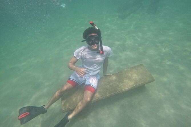 San Juan Turtle Spotting Snorkel Adventure with Videos - Price and What You Actually Get for $50
