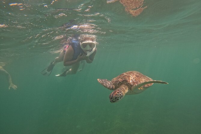San Juan Turtle Spotting Snorkel Adventure with Videos - Balneario El Escambrón: What Happens in the Water