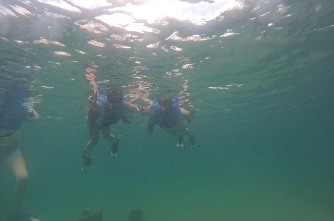 San Juan Turtle Spotting Snorkel Adventure with Videos - Guides, Safety, and Small-Group Attention (Not Just a Boat Ride)