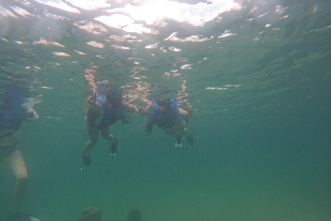 San Juan Turtle Spotting Snorkel Adventure with Videos - Luggage Storage and Beach-Time Practicalities