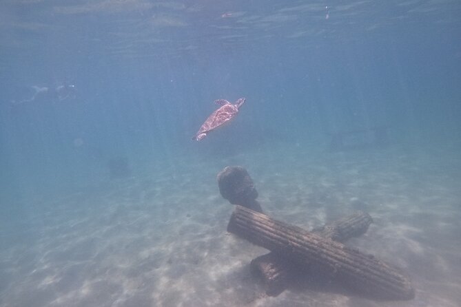 San Juan Turtle Spotting Snorkel Adventure with Videos - Where You Meet at Batería del Escambrón and How the Start Feels