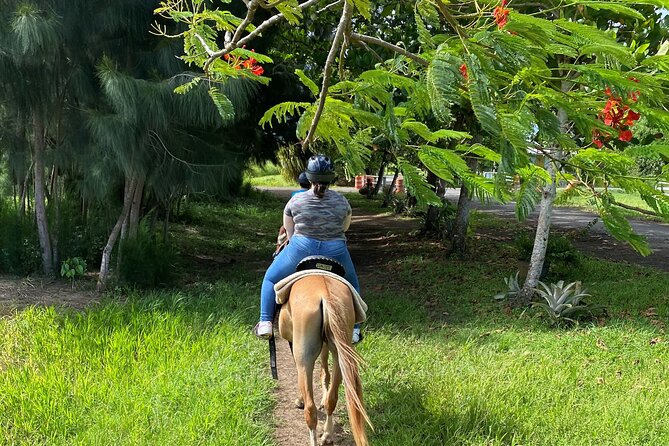 Scenic Horseback Riding Tour from San Juan - Horse comfort rules: the 240-lb limit and why it matters