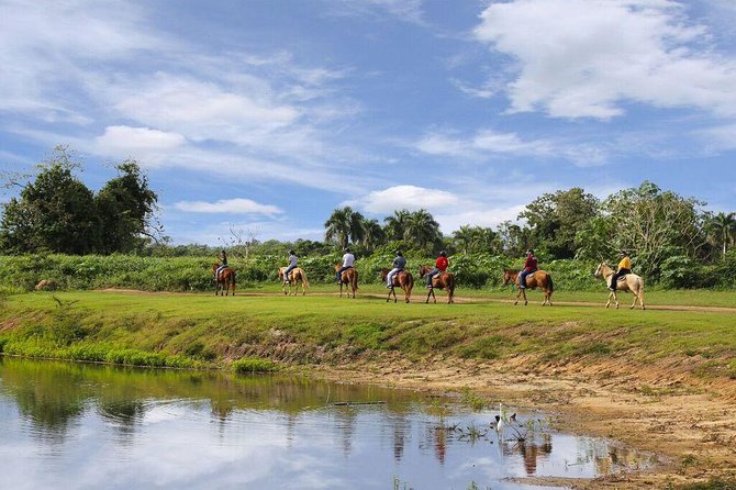 Scenic Horseback Riding Tour from San Juan - What to pack: heat, bugs, and shoes that can handle ranch mud