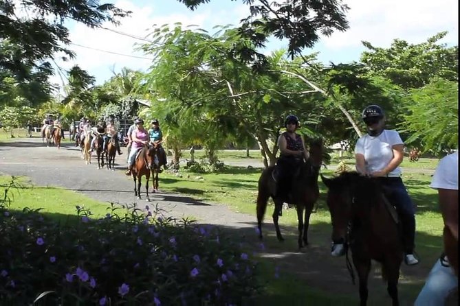 Scenic Horseback Riding Tour from San Juan - Guides and service: why the ride can feel personal