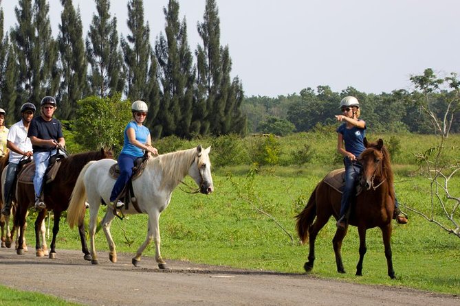 Scenic Horseback Riding Tour from San Juan - Trail time with the ranch team: views, wildlife, and that trot