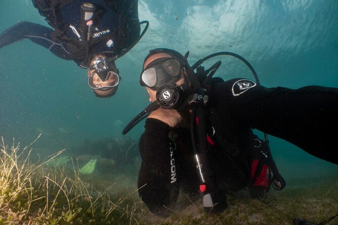 Scuba Tour for Certified Divers in San Juan - Escambrón Marine Park: urban reef, fish wall ruins, and replica “Atlantis”