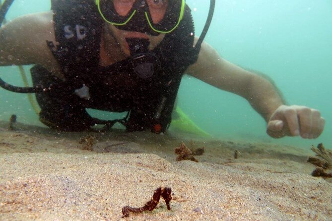 Scuba Tour for Certified Divers in San Juan - Small-group attention with guides Paco and Manolo